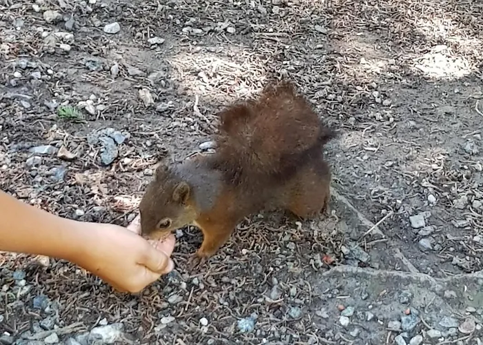 Haus Duranna - Rocks