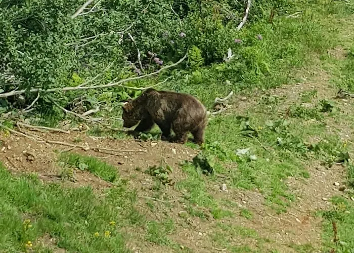 Haus Duranna - Rocks 公寓 *