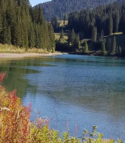 Haus Duranna - Rocks Arosa